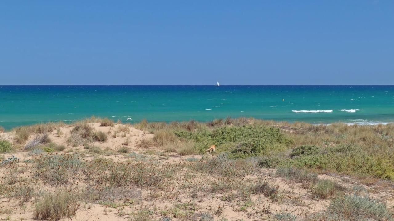 Bajo Las Nubes, Vinamar Iii, La Mata, Torrevieja La Mata  Exterior photo